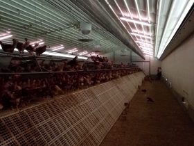 Barnetegi Udaberria Euskaltegia familias